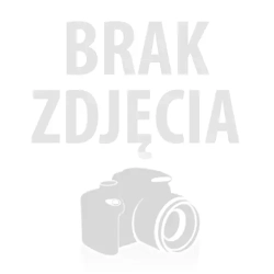 VW AUDI SEAT KOLEKTOR SSĄCY 04L129711AC